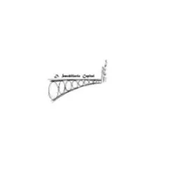 Logotipo de Desarrollo Inmobiliario Capital