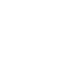 Logotipo de Homenfun