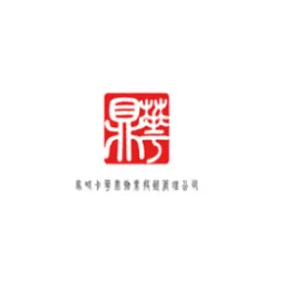 Logotipo de Huading