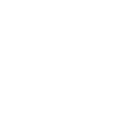 Logotipo de Immogrupstar