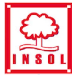 Logotipo de Insol Torrelaguna Siglo Xxi