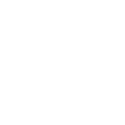 Logotipo de Selekta Properties