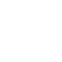 Logotipo de Servicheck