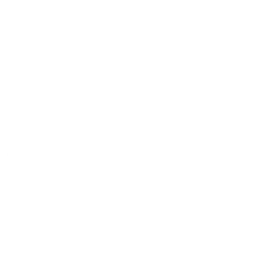 Logotipo de Ziegel